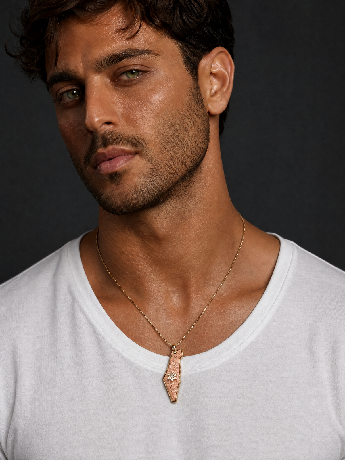 Israel Map Pendant with Star of David, 14K Yellow Gold and Diamond in Silver frame